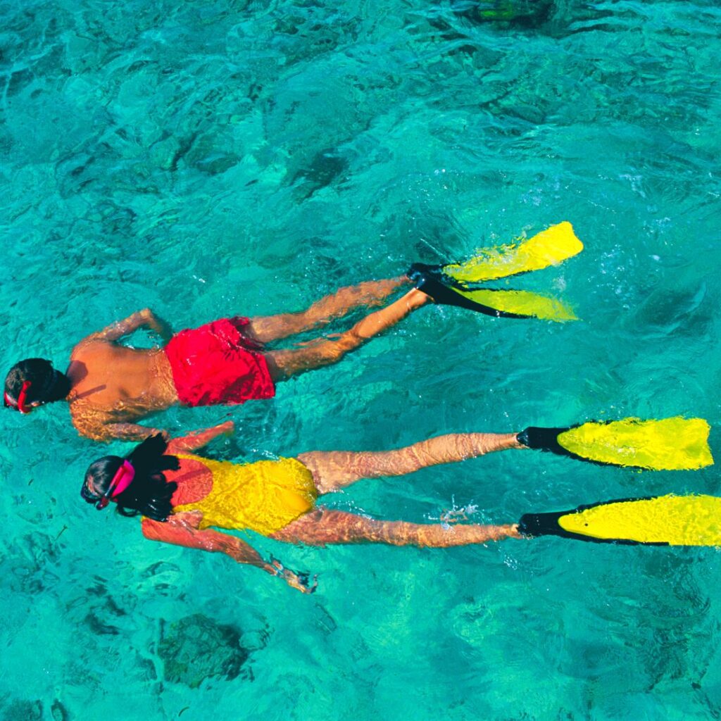 Navigare le Egadi. Escursione Snorkeling mezza giornata a Favignana. Ideale per chi ama il mare e desidera osservare le sue meraviglie sotto il pelo dell'acqua con maschera e boccaglio.