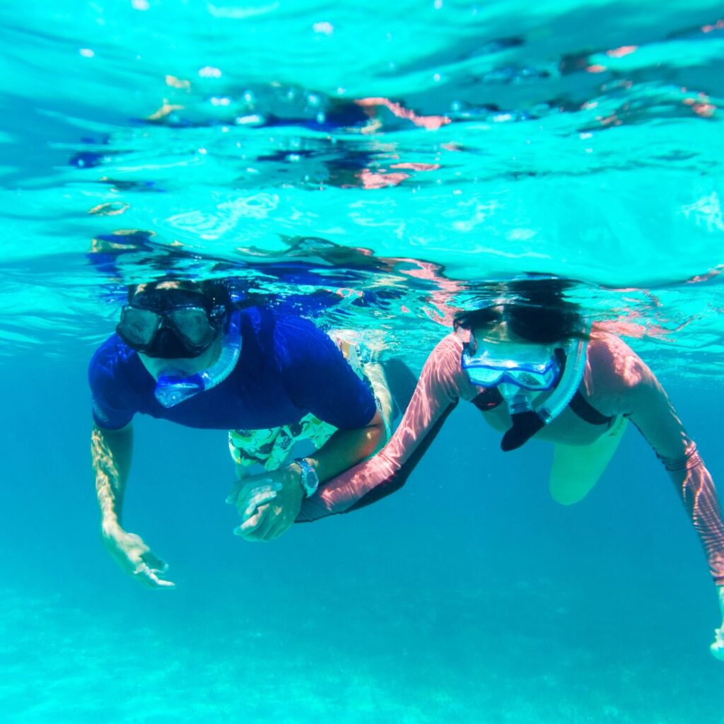 Escursione snorkeling mezza giornata a Favignana. Ideale per chi ama il mare a vuole osservare le sue meraviglie sotto il pelo dell'acqua, con maschera e boccaglio.